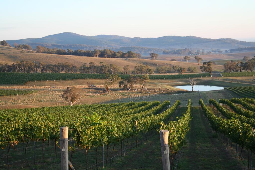 Mayfield Vineyard Orange Exterior photo