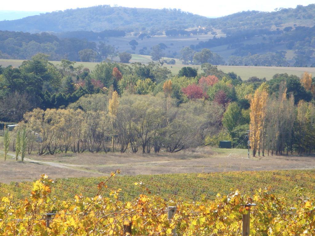 Mayfield Vineyard Orange Exterior photo