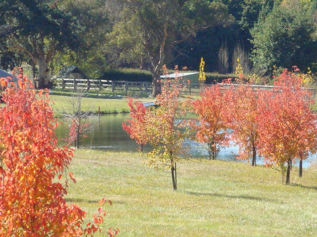 Mayfield Vineyard Orange Exterior photo