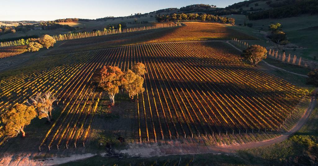 Mayfield Vineyard Orange Exterior photo
